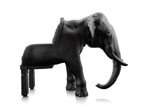 Maximo Riera VIIII - Elephant Chair
